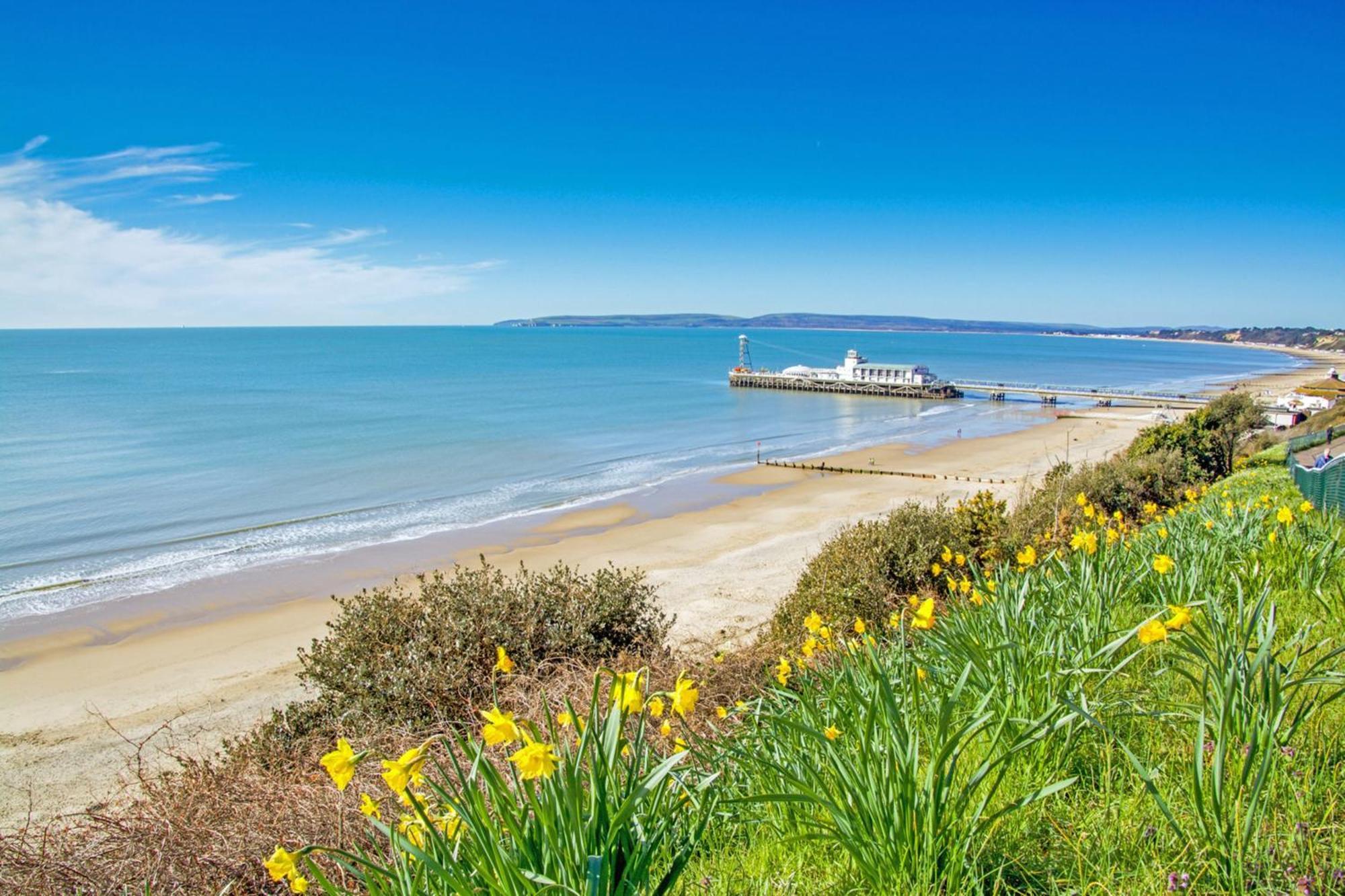 Bournecoast - Clifftop Apartment With Garden -Fm827 본머스 외부 사진